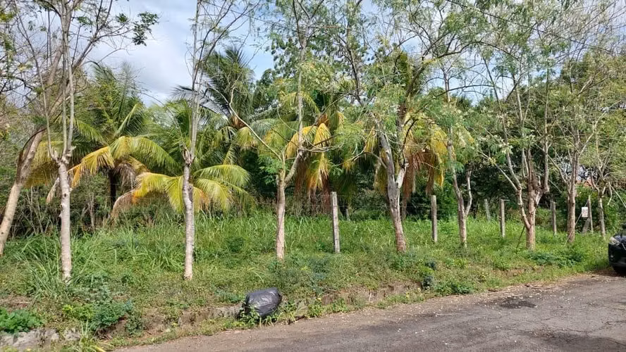 LOMAS DE VERACRUZ / U$85,000 - Imagen 5