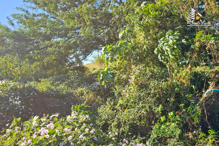 Grandioso Terreno en Venta en Carretera Nueva a León - IY
