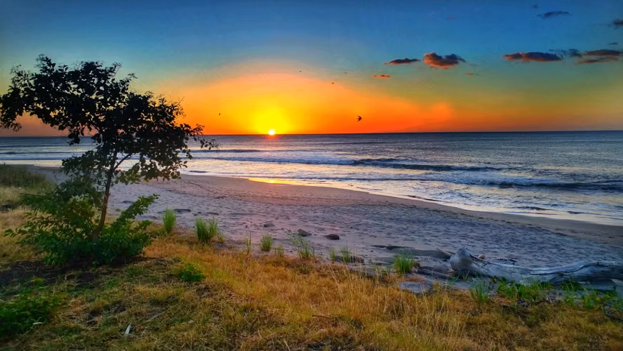 Eco-Friendly Tropical Tiny Home For Sale at Gran Pacifica Resort.