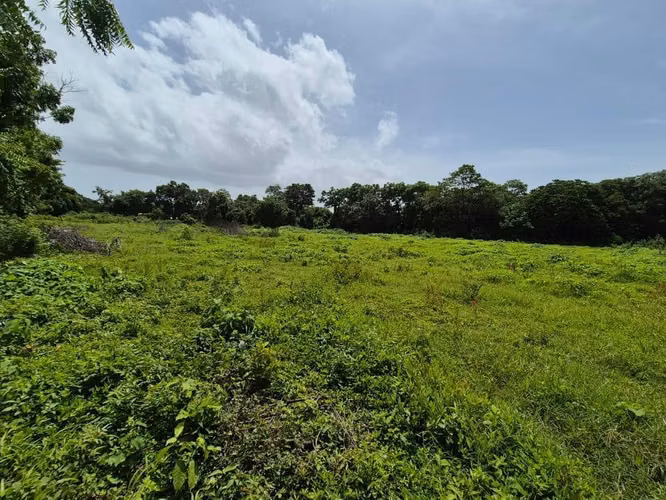 COMARCA LOS VANEGAS / U$839,570 - Imagen 5