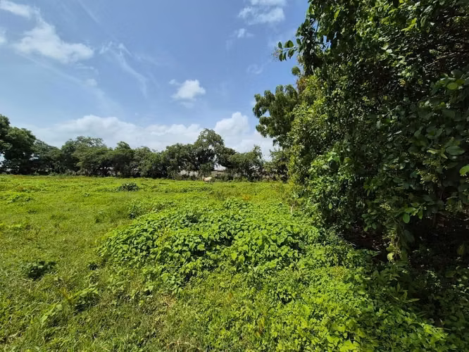 COMARCA LOS VANEGAS / U$839,570 - Imagen 2