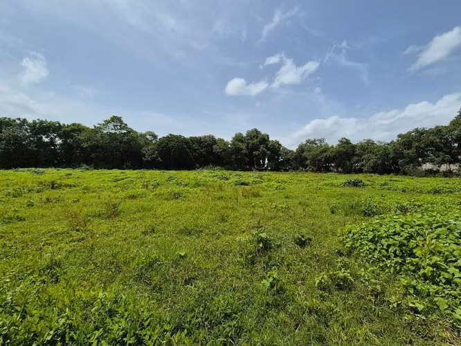 COMARCA LOS VANEGAS / U$839,570 - Imagen 4