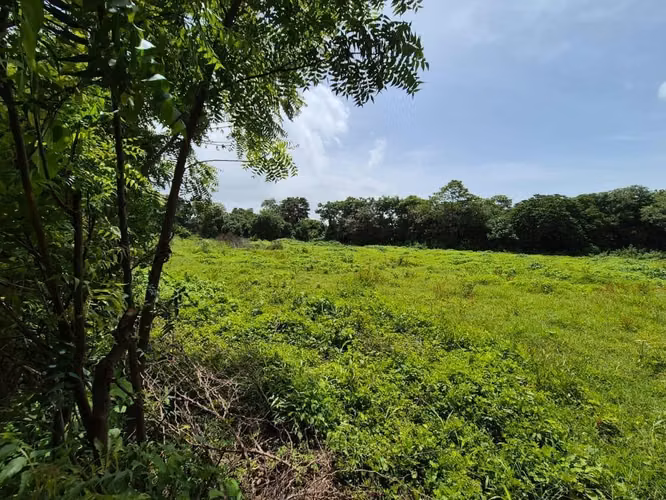 COMARCA LOS VANEGAS / U$839,570 - Imagen 6