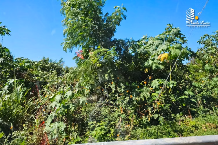 Fabuloso Terreno en Venta en Carretera Nueva a León - IY - Imagen 7