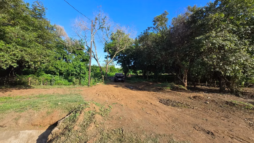 TERRENO EN SABANA GRANDE