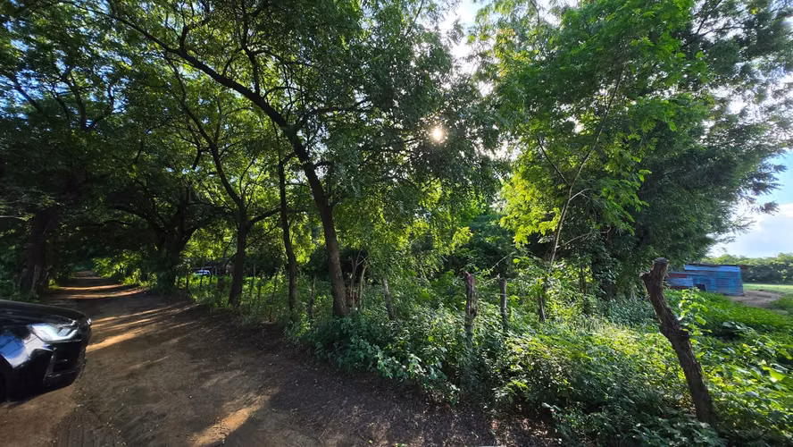 TERRENO EN SABANA GRANDE