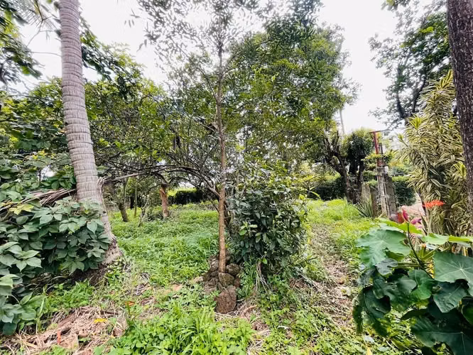 VERACRUZ / U$83,500 - Imagen 5