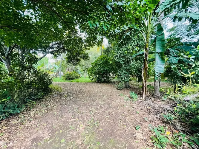 VERACRUZ / U$83,500 - Imagen 4