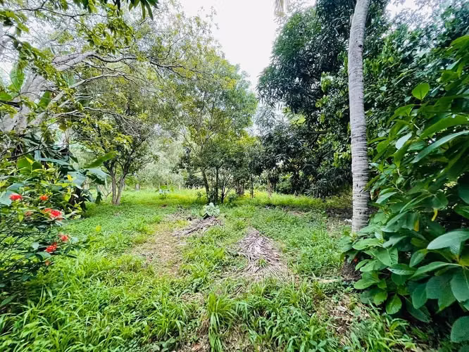 VERACRUZ / U$83,500 - Imagen 6