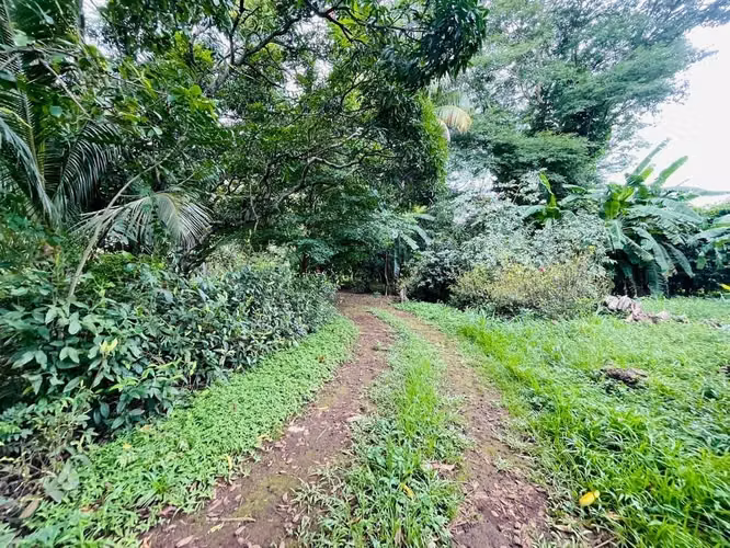 VERACRUZ / U$83,500
