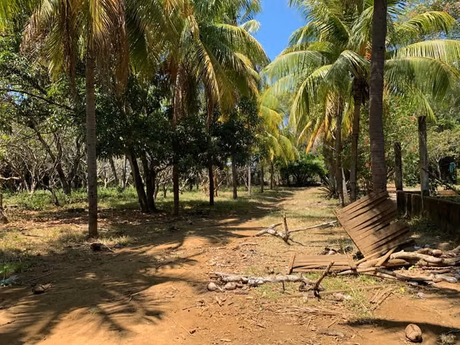 FH- Finca de 2 manzanas en venta/renta - Imagen 13
