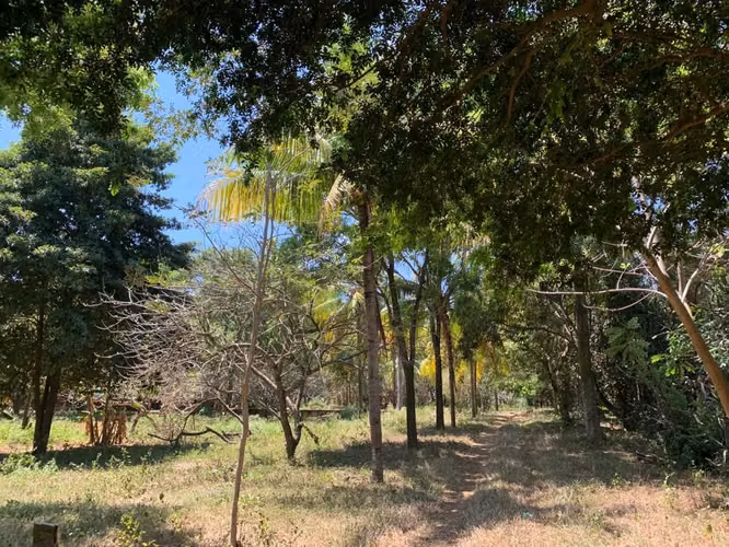 FH- Finca de 2 manzanas en venta/renta - Imagen 16
