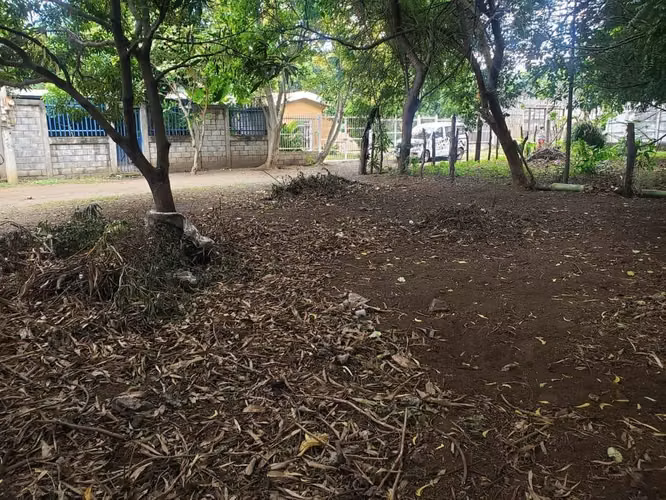 SABANA GRANDE / U$20,000 - Imagen 5