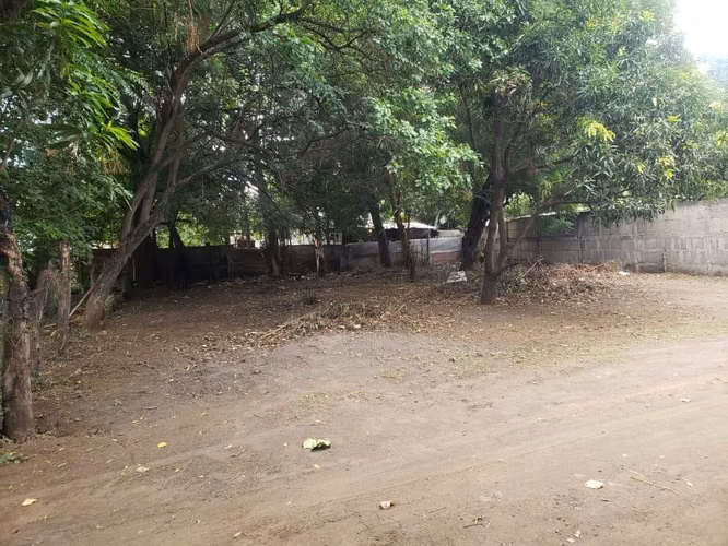 SABANA GRANDE / U$20,000