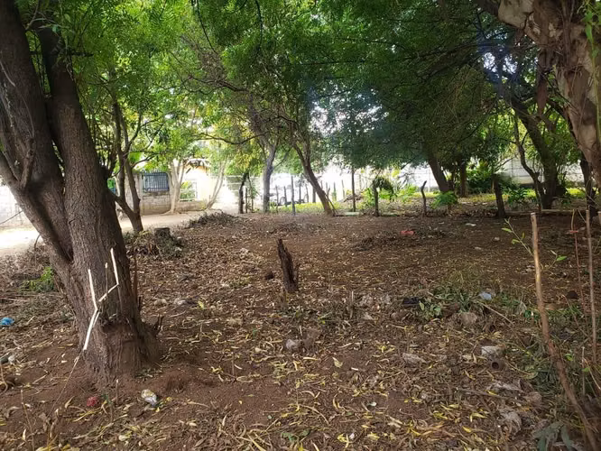 SABANA GRANDE / U$20,000 - Imagen 3