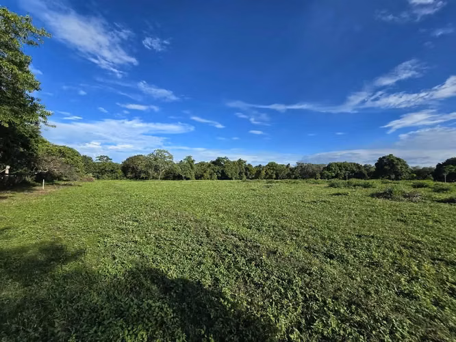 Lotes en venta carretera a Masaya km 10.5 - Imagen 3