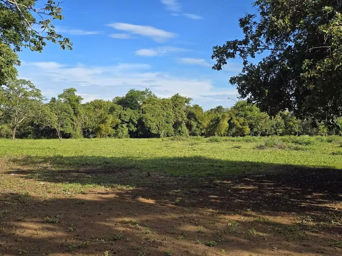 Lotes en venta carretera a Masaya km 10.5 - Imagen 6