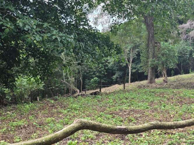 FH-Terreno de 5,333 vrs2 en Santo Domingo - Imagen 14