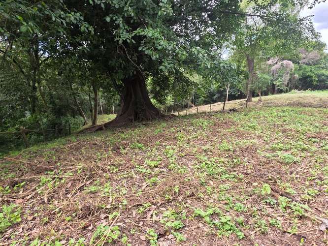 FH-Terreno de 5,333 vrs2 en Santo Domingo - Imagen 3