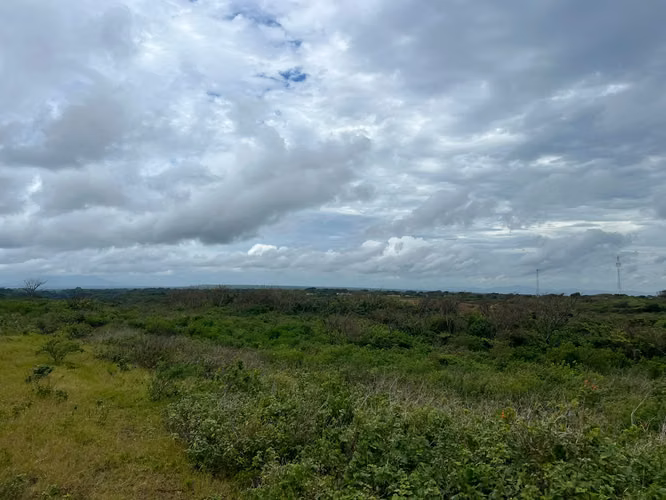 Finca Productiva en Venta – Comarca La Chona, Carazo