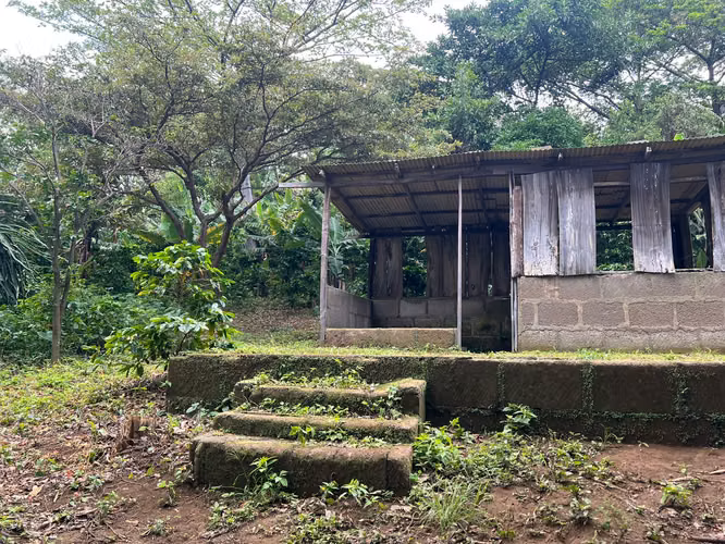 Finca Productiva en Venta – Comarca La Chona, Carazo