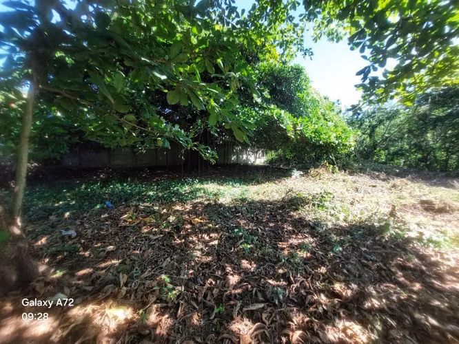 PRINCIPAL ESQUIPULAS / U$111,000