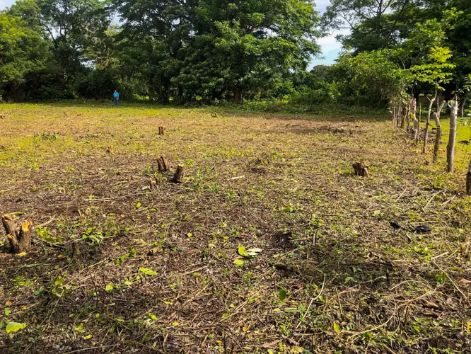  ¡Amplio lote disponible en Km 13 Carretera Vieja a León!  - Imagen 2