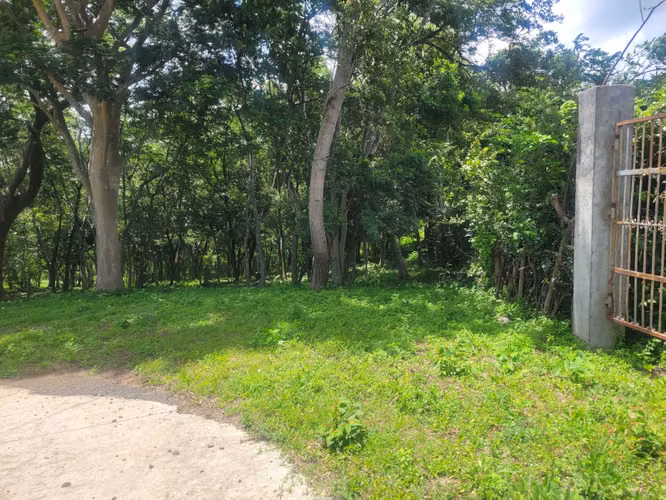 Lote en venta en el km 17 de la Carretera Vieja a León. - Imagen 5