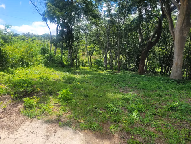 Lote en venta en el km 17 de la Carretera Vieja a León. - Imagen 2