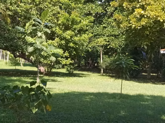 3 manzanas c Vieja a Leon