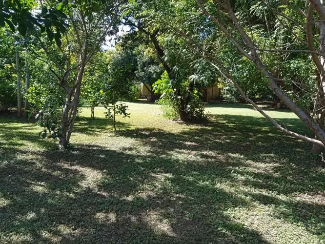 3 manzanas c Vieja a Leon