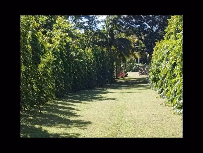 3 manzanas c Vieja a Leon