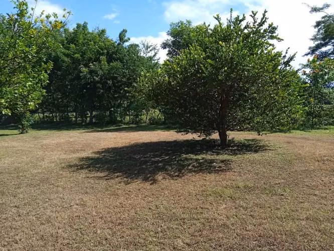 3 manzanas c Vieja a Leon