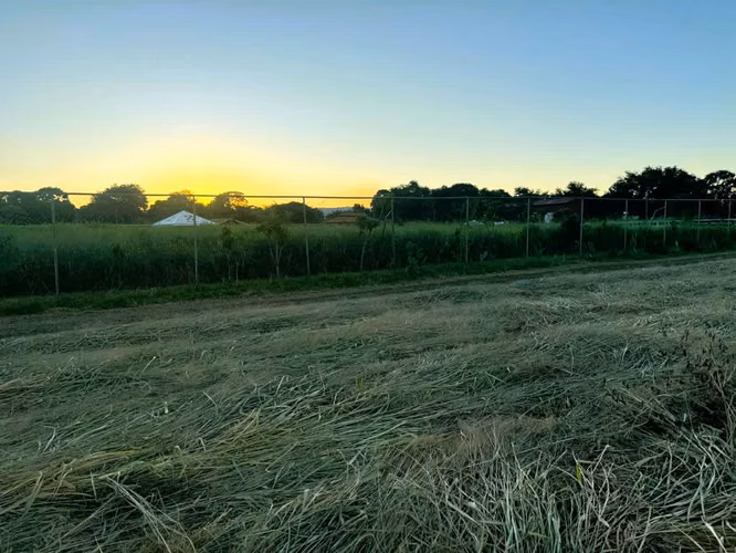 Terreno en Venta – 15 Manzanas con Potencial Industrial/Comercial - Imagen 8