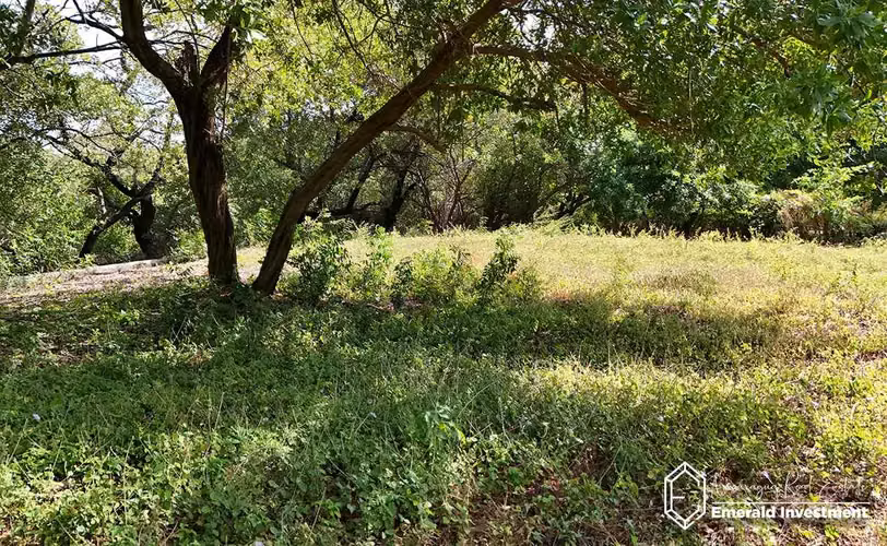 Beachfront & Second-Row Lots for Sale in Popoyo, Nicaragua - Imagen 16