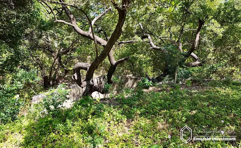 Beachfront & Second-Row Lots for Sale in Popoyo, Nicaragua - Imagen 15