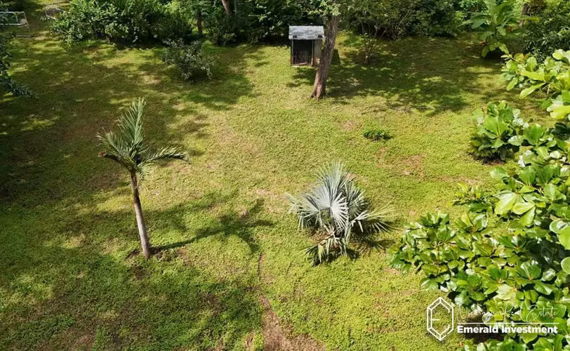 Modern 2 Bedroom Titled House in Gigante | Casa Estrella - Imagen 7
