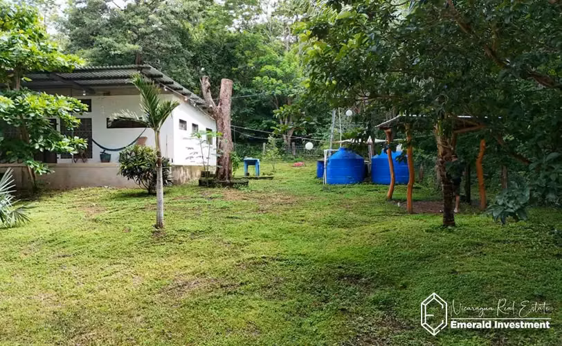 Modern 2 Bedroom Titled House in Gigante | Casa Estrella - Imagen 3