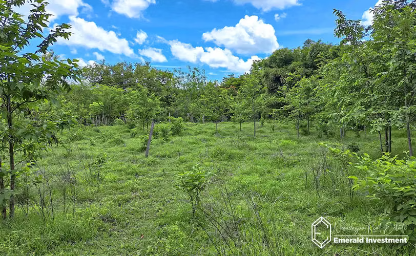 Farm Near Hacienda Iguana and Playa Gigante | Finca El Tambo - Imagen 5