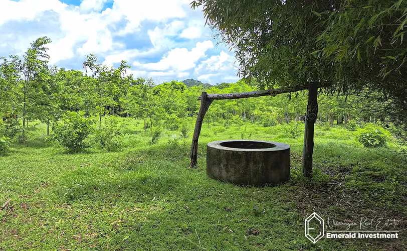 Farm Near Hacienda Iguana and Playa Gigante | Finca El Tambo - Imagen 10
