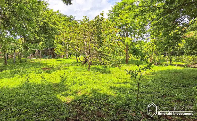 Farm Near Hacienda Iguana and Playa Gigante | Finca El Tambo - Imagen 6