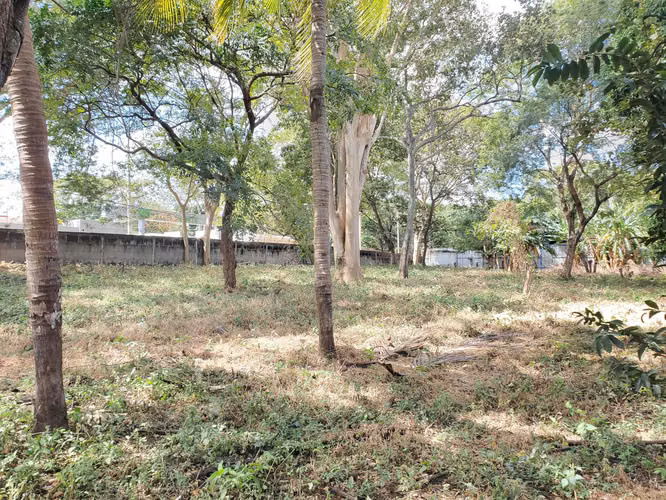 AP-Terreno en Carretera Masaya km 15 - Imagen 2