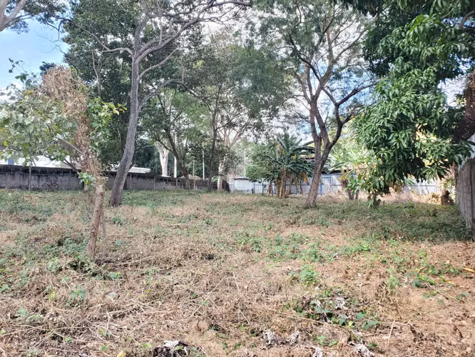 AP-Terreno en Carretera Masaya km 15 - Imagen 8