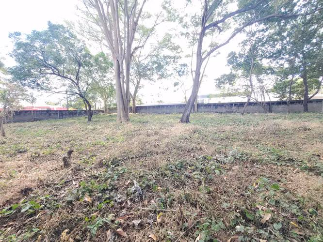 AP-Terreno en Carretera Masaya km 15 - Imagen 5