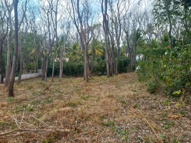 Venta de terreno en Carretera Sur | 3,500 V²