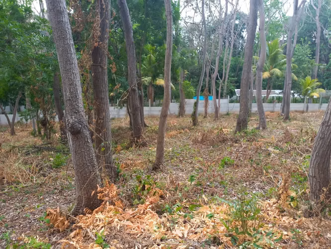 Venta de terreno en Carretera Sur | 3,500 V²