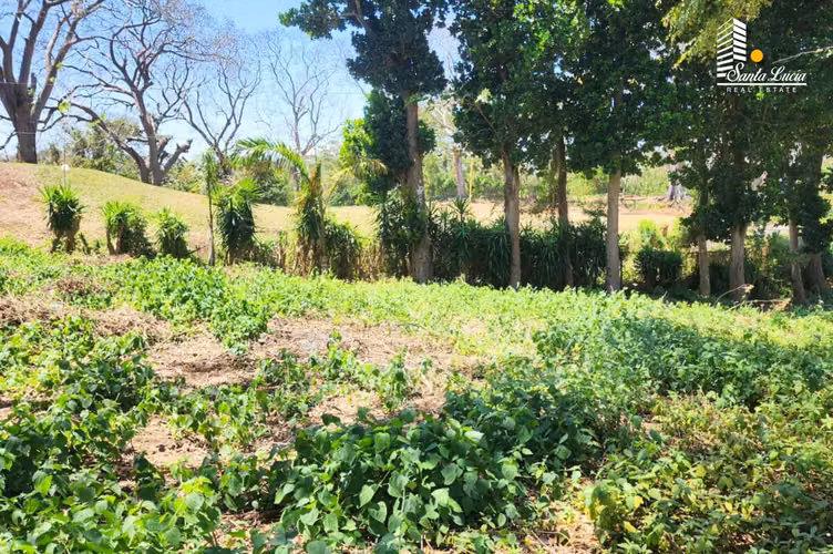 ¡¡Fabuloso Terreno Sobre Carretera en Villa Fontana!! - AC
