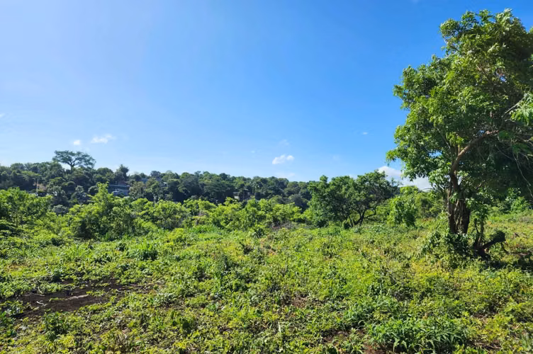  Terreno en Venta – ¡Ubicación estratégica y alto potencial! - IY