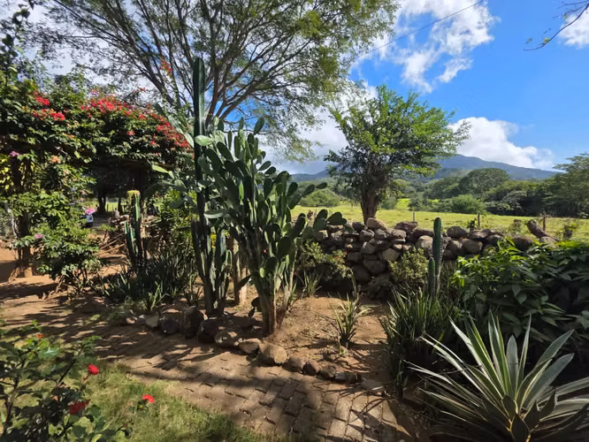 FH-QUINTA CON VISTA AL VOLCÁN MOMBACHO  - Imagen 7