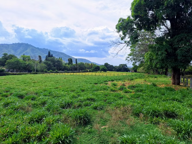 Terreno en venta Ticuantepe
